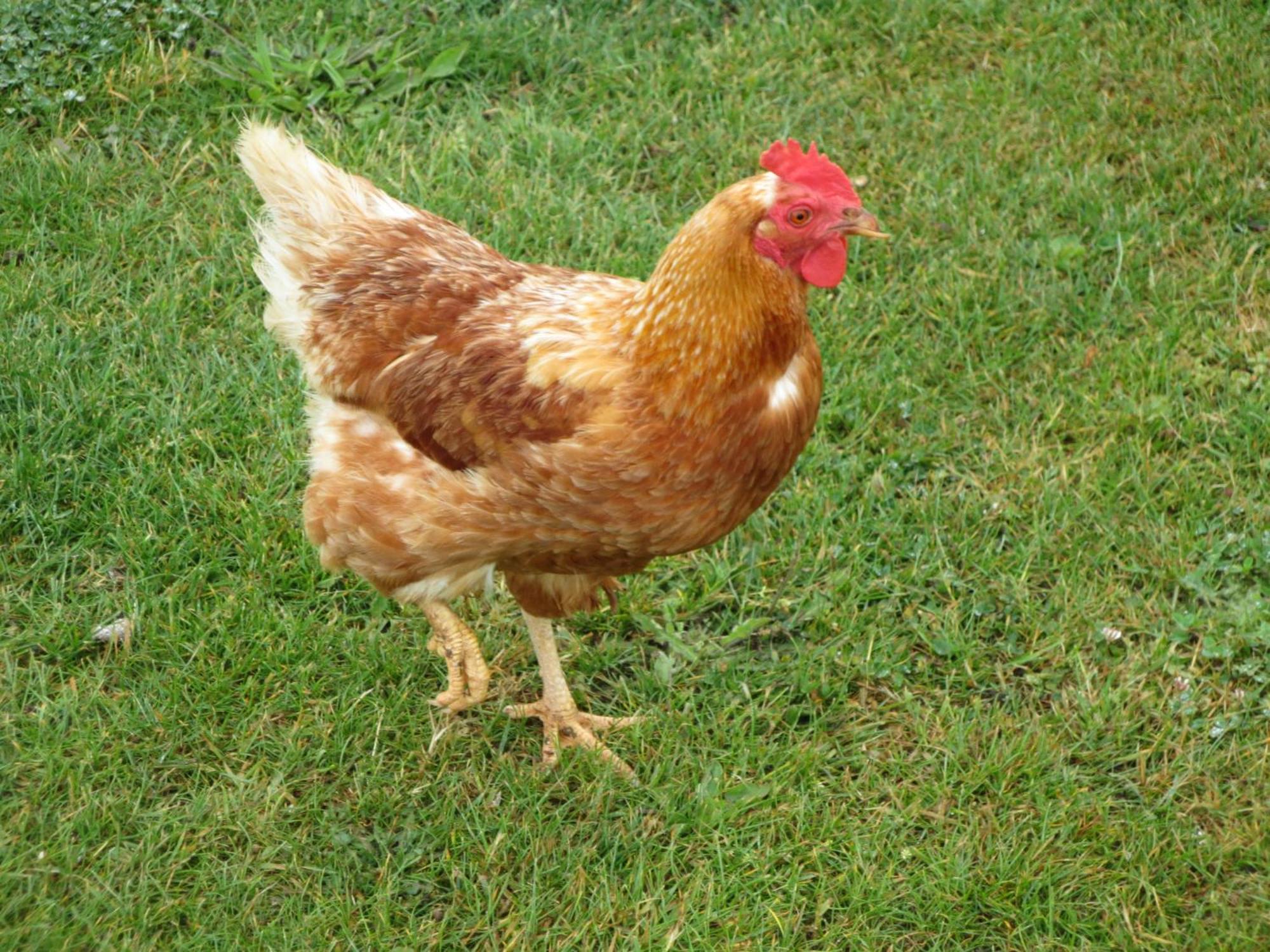 Gite Paimpol Le Poullou 외부 사진