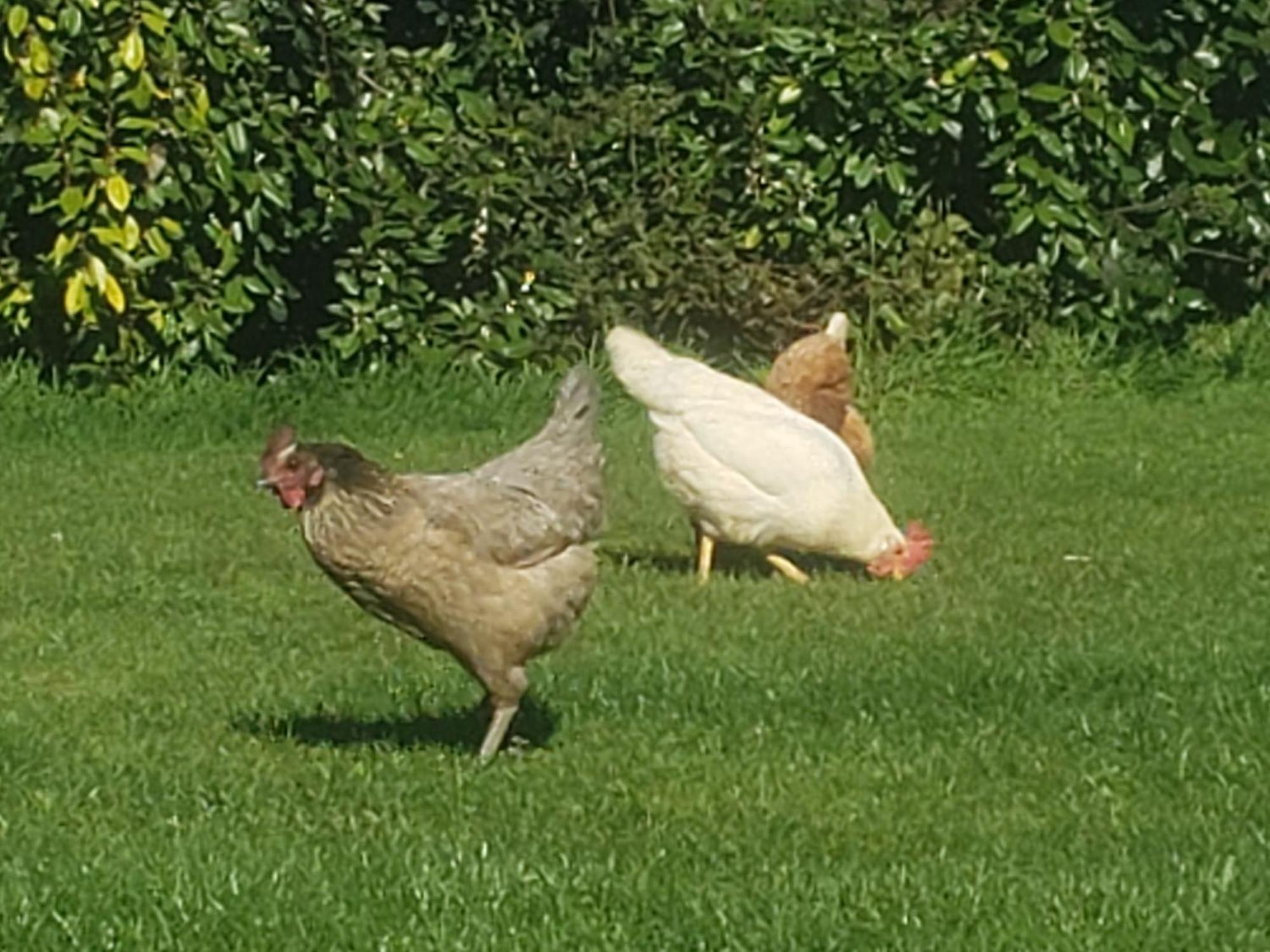 Gite Paimpol Le Poullou 외부 사진